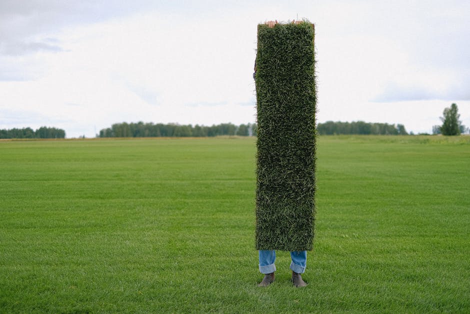 How to Maintain Your Artificial Grass to Keep it Looking Great Year-Round